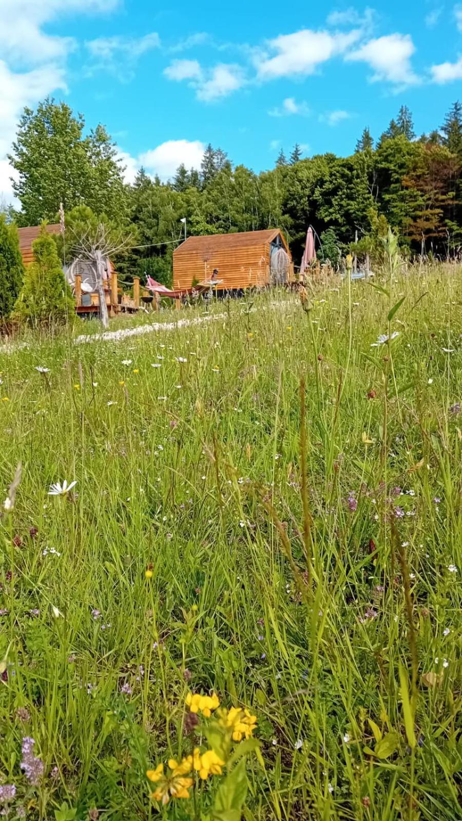 My Little Village Poiana Mărului Exterior foto