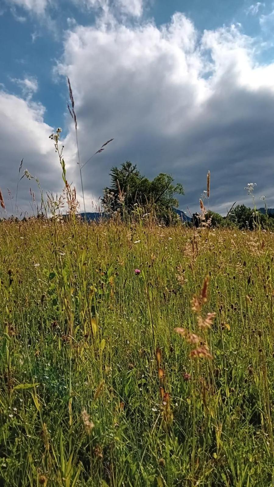 My Little Village Poiana Mărului Exterior foto